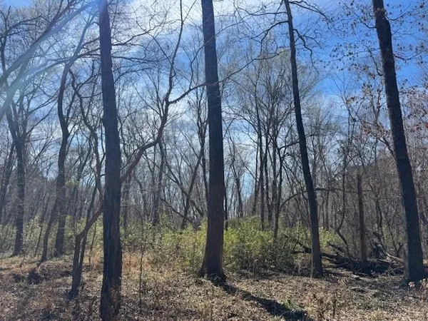 $60,000 | 319 Frankston Tx 75763, Frankston, TX 75763