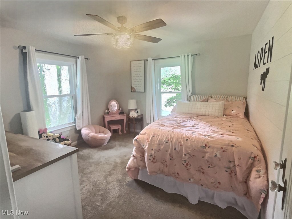 3688 Easton Road Norton, OH 44203 - Photo 36 of 37 Carpeted bedroom with ceiling fan and multiple windows