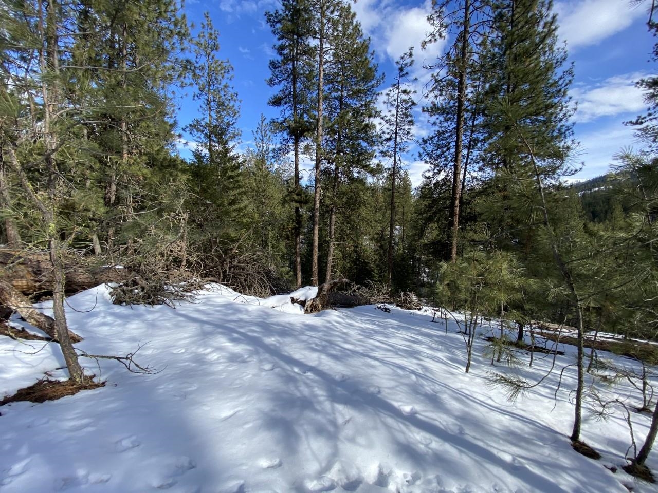 4610 A Hidden Road Springdale, WA 99173 - Photo 21 of 39 Gallery Image 21
