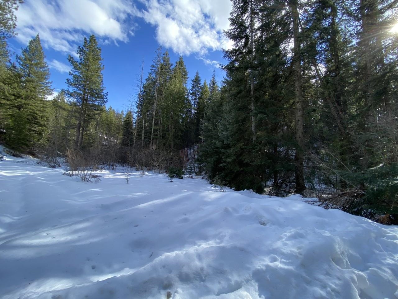 4610 A Hidden Road Springdale, WA 99173 - Photo 22 of 39 Gallery Image 22