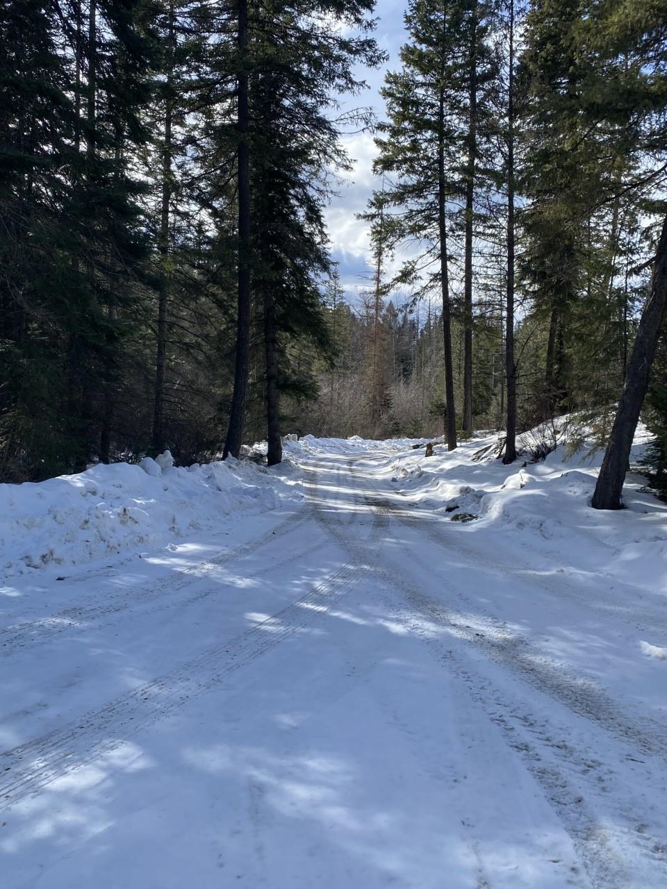 4610 A Hidden Road Springdale, WA 99173 - Photo 25 of 39 Gallery Image 25