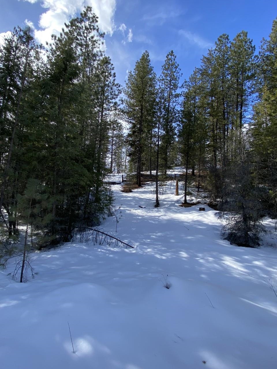 4610 A Hidden Road Springdale, WA 99173 - Photo 26 of 39 Gallery Image 26