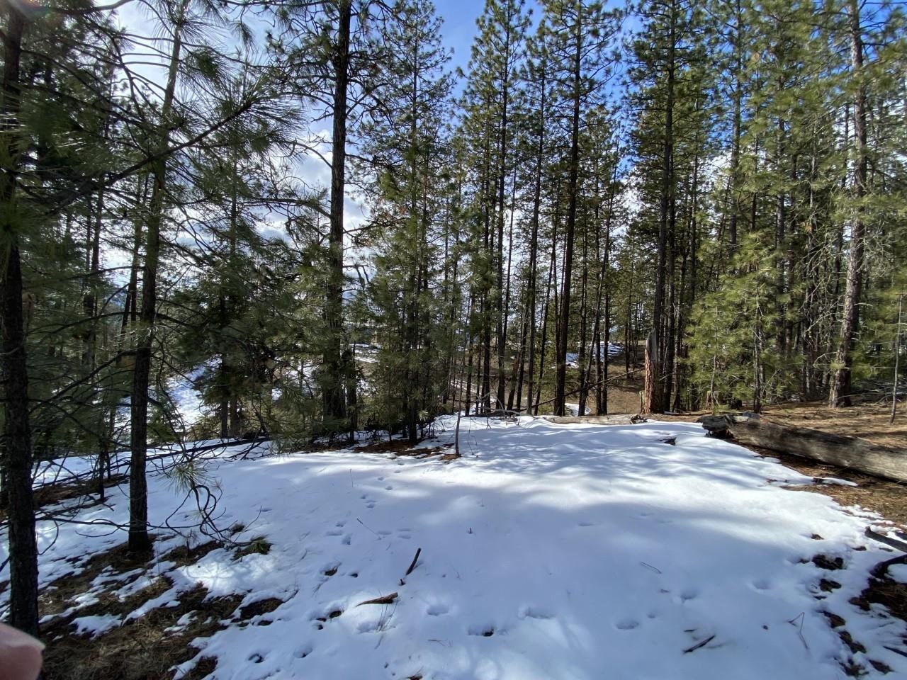 4610 A Hidden Road Springdale, WA 99173 - Photo 27 of 39 Gallery Image 27