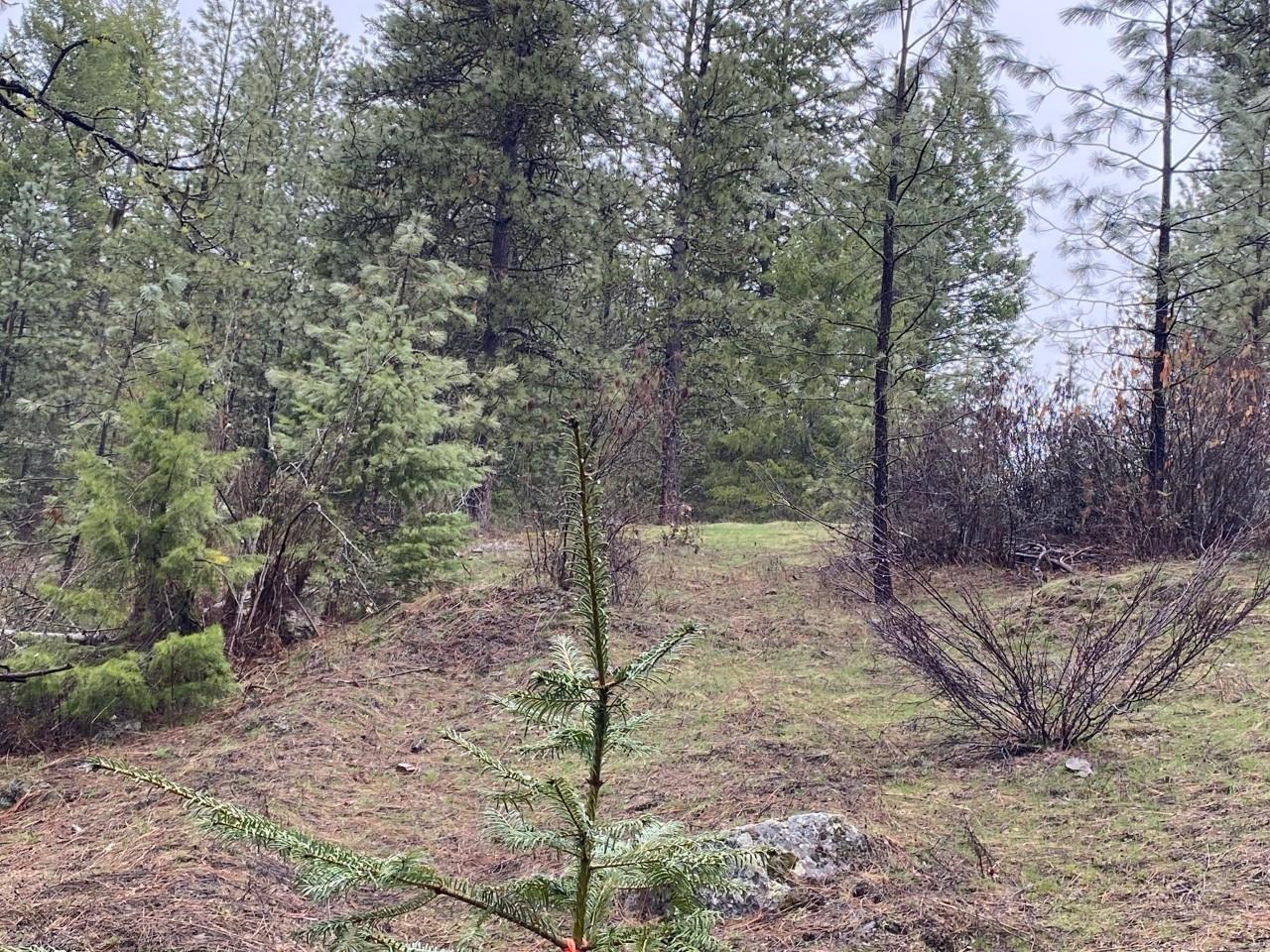 4610 A Hidden Road Springdale, WA 99173 - Photo 38 of 39 Gallery Image 38