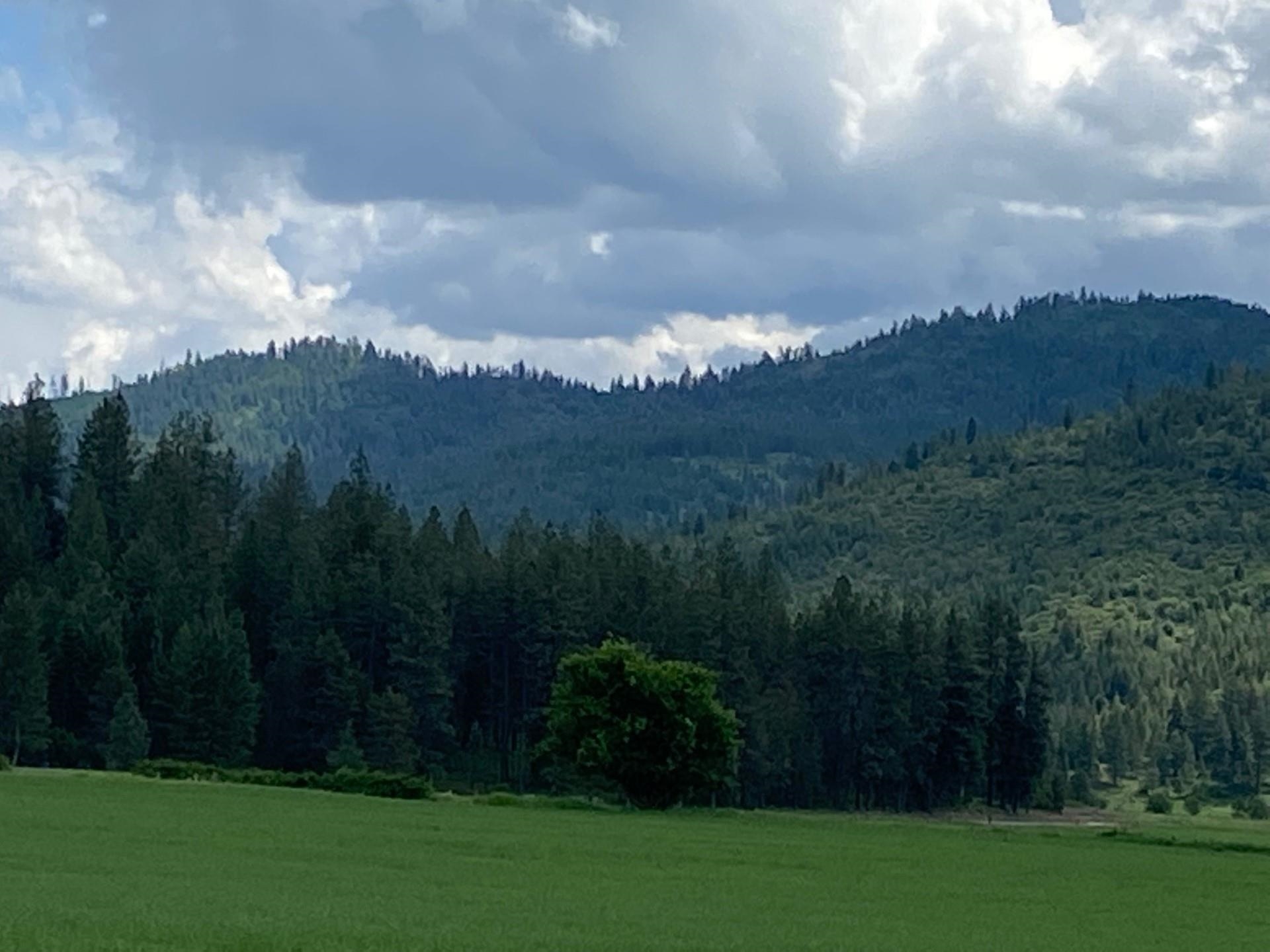 4610 A Hidden Road Springdale, WA 99173 - Photo 39 of 39 Gallery Image 39