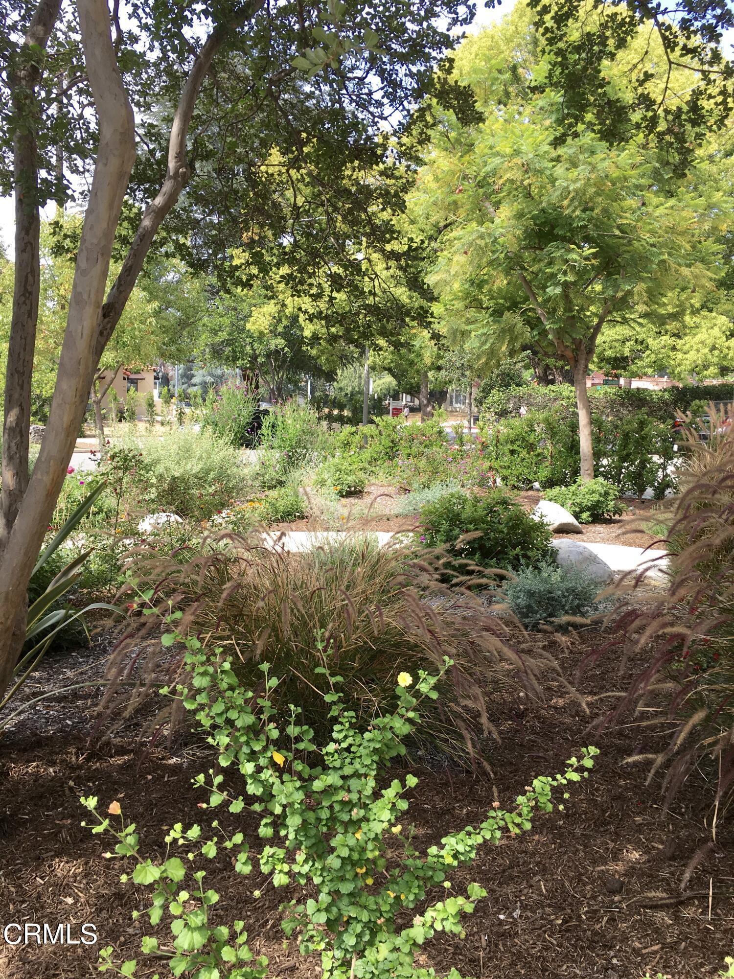 927 Atchison Street Pasadena, CA 91104 - Photo 13 of 13 a view of a yard with plants and large trees