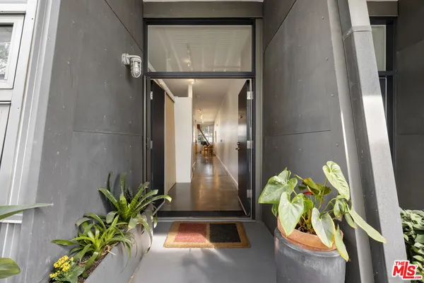 a potted plant sitting in front of a house