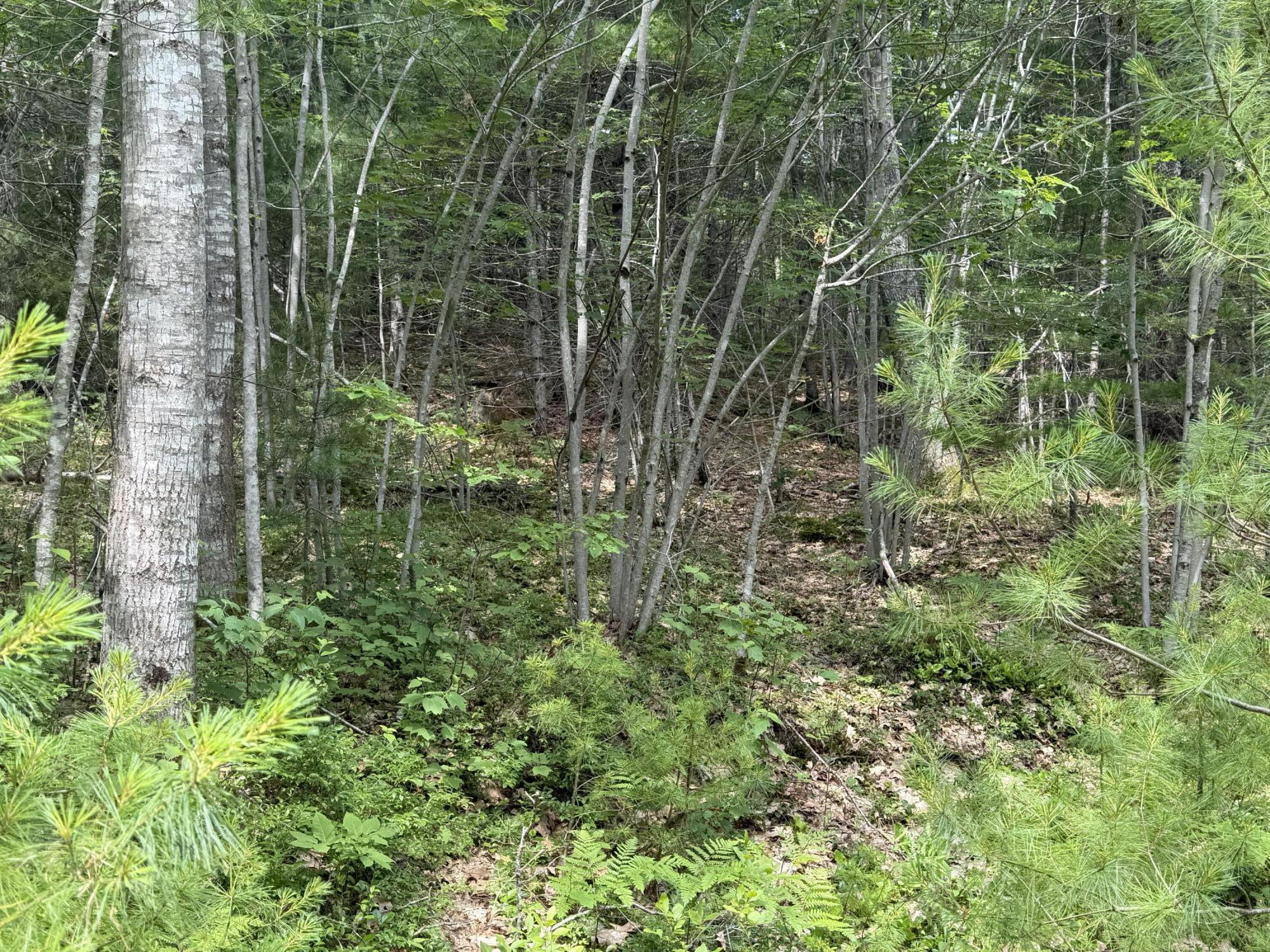 Lot 068011 Shore Road Bremen, ME 04551 - Photo 3 of 4 Lot 068011 Shore Road, Bremen
