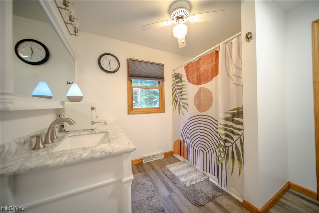 73110 Turkey Run Road Kimbolton, OH 43749 - Photo 9 of 29 Bathroom with ceiling fan, vanity, mirror, and light hardwood flooring