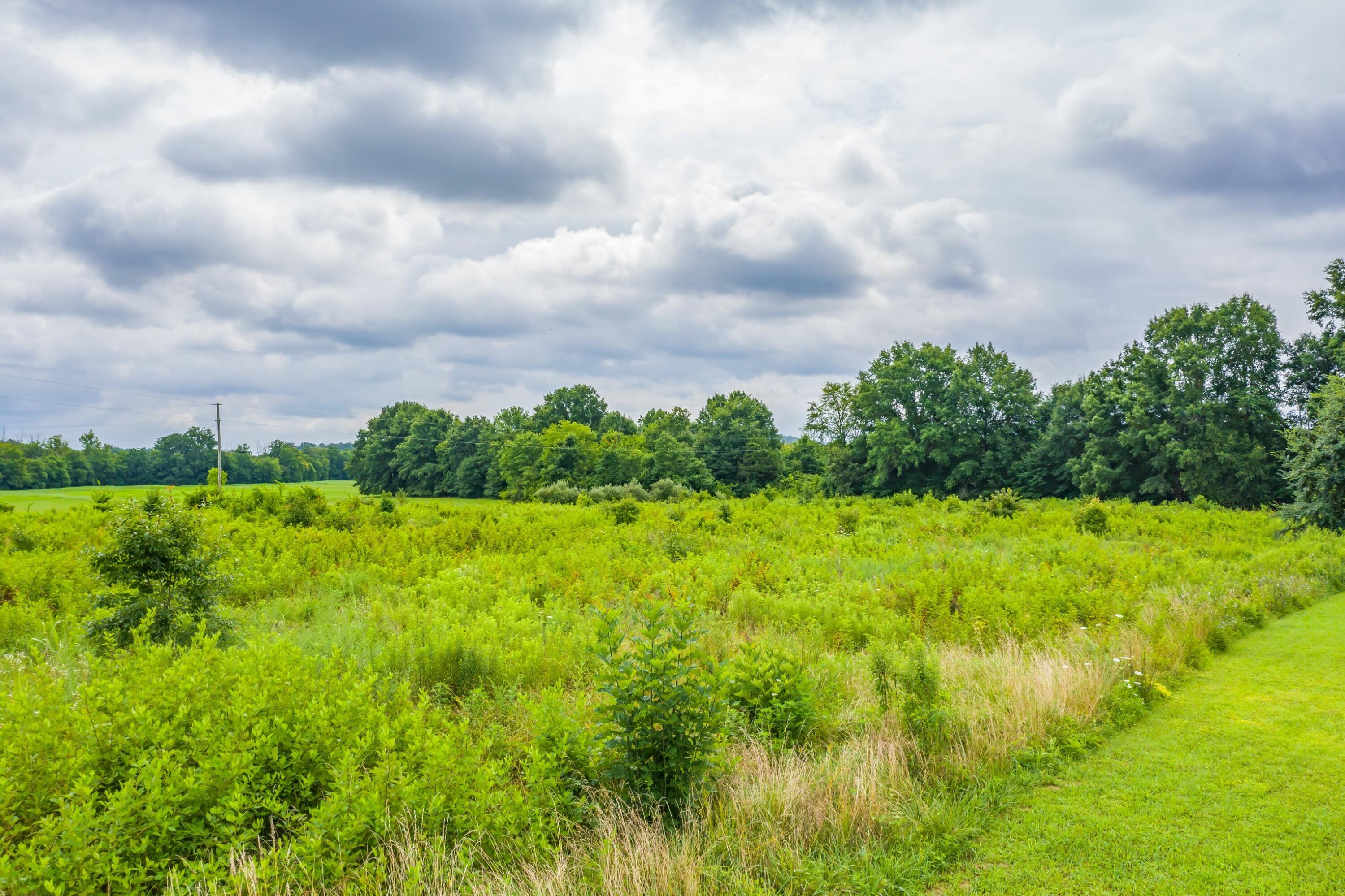488 Bible Road Mohawk, TN 37810 - Photo 11 of 38 Exterior-28.jpg-SMALL