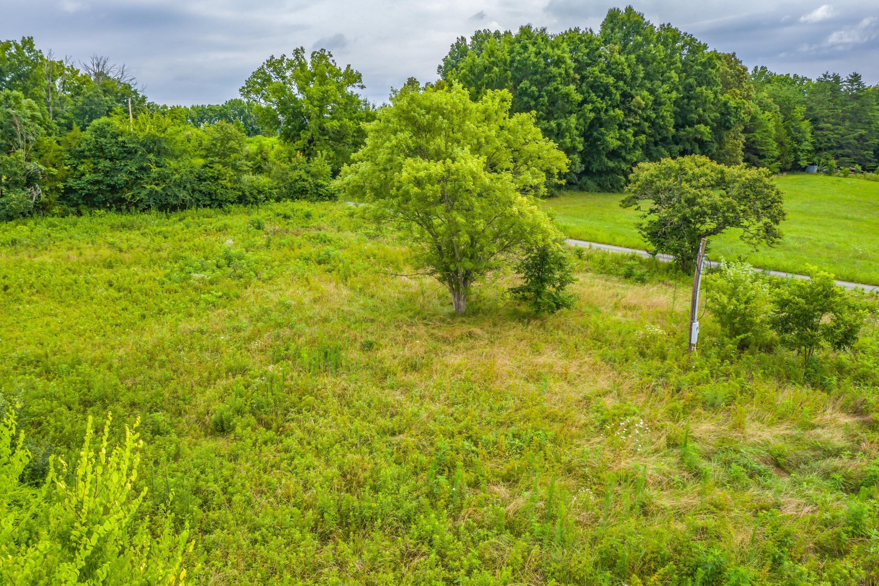 488 Bible Road Mohawk, TN 37810 - Photo 13 of 38 Exterior-30.jpg-SMALL