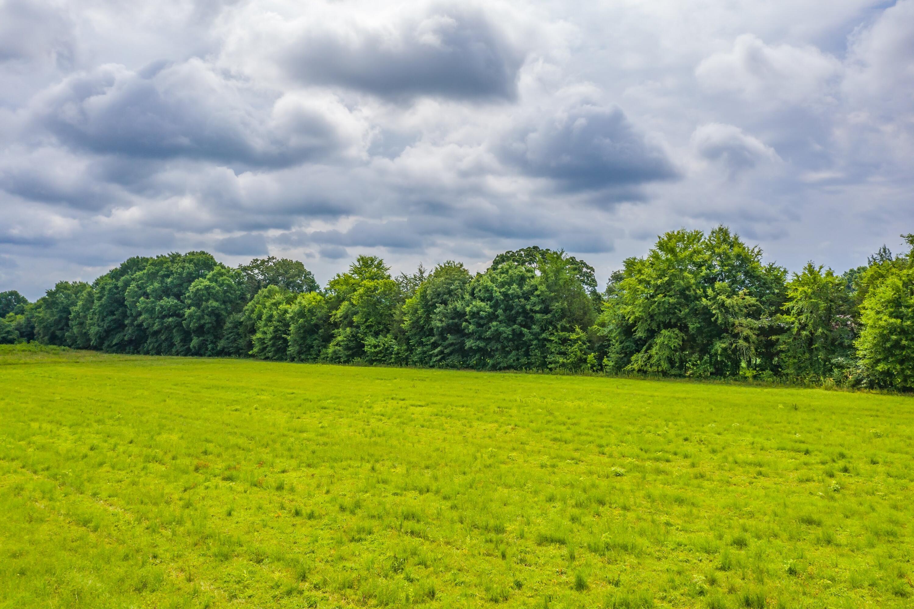 488 Bible Road Mohawk, TN 37810 - Photo 31 of 38 Exterior-17.jpg-SMALL