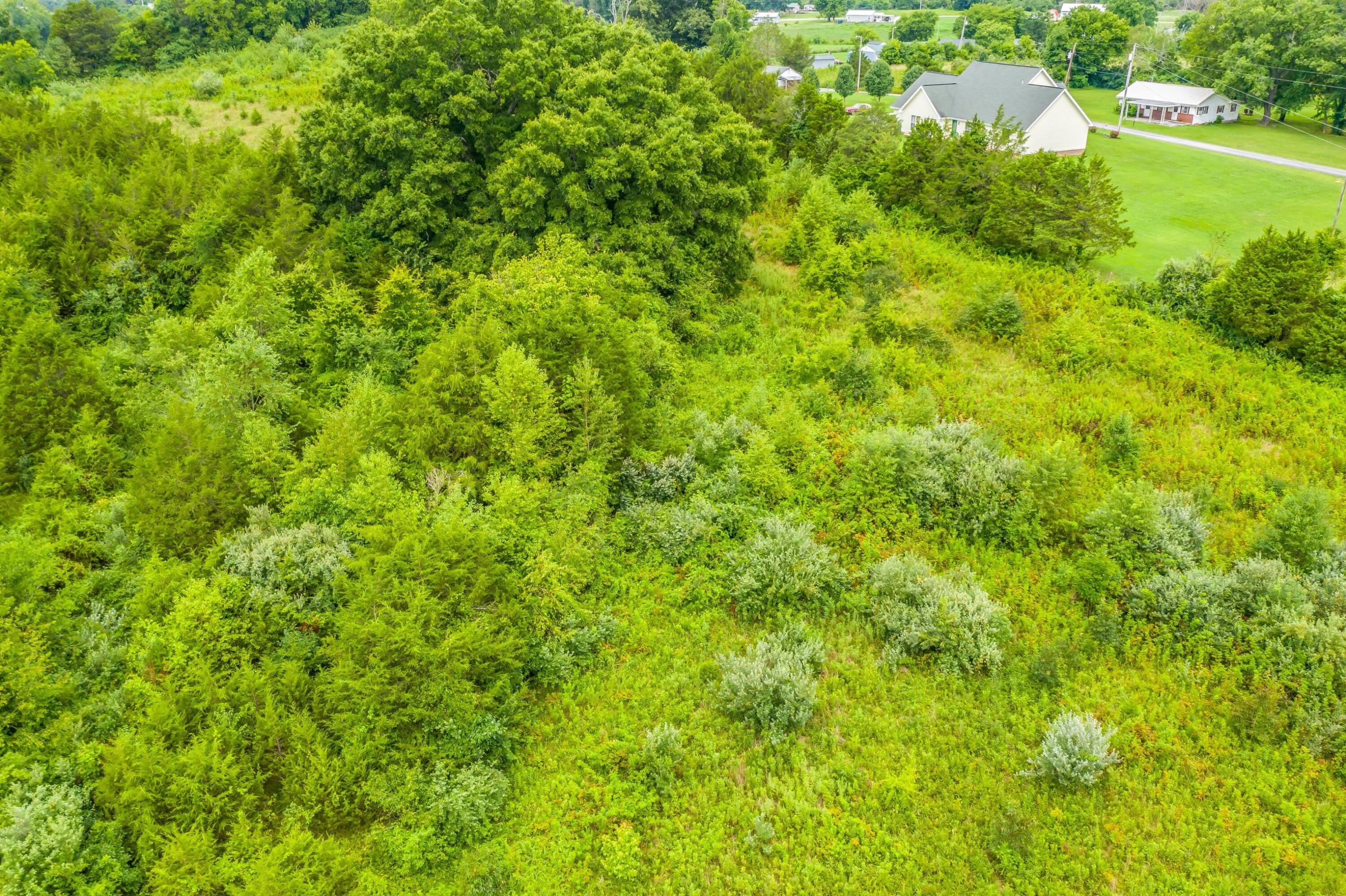 488 Bible Road Mohawk, TN 37810 - Photo 6 of 38 Exterior-34.jpg-SMALL
