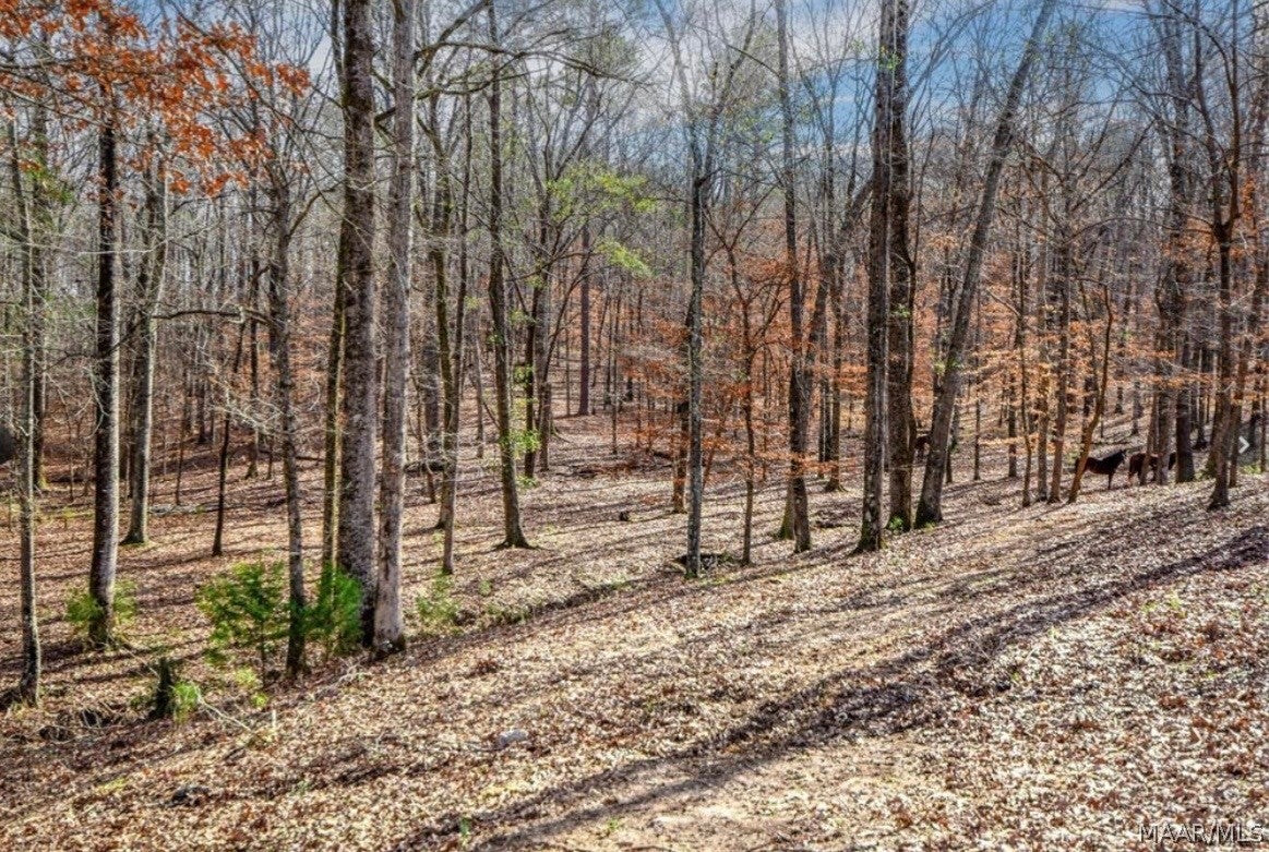 912 Georgia Road Wetumpka, AL 36092 - Photo 62 of 68 Gallery Image 62