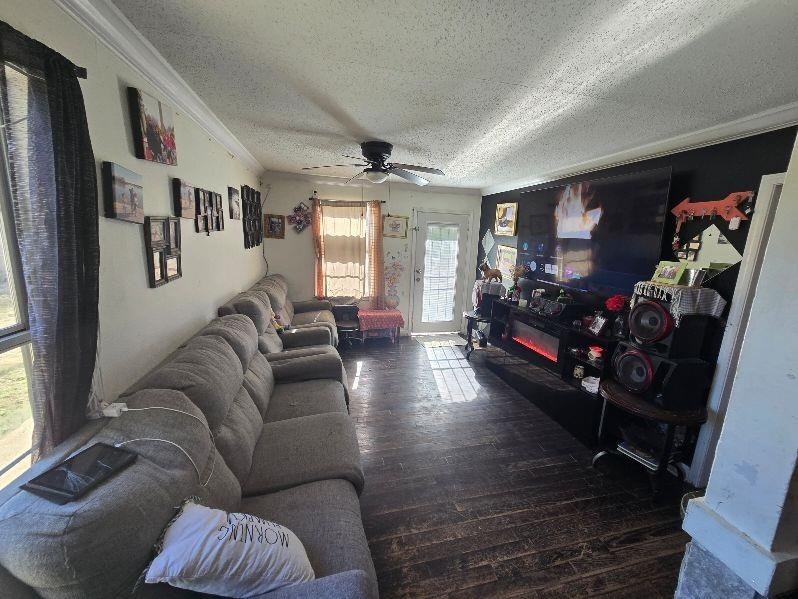 3530 Crow Road Memphis, TN 38108 - Photo 2 of 11 Living room with ceiling fan, dark wood-type flooring, a textured ceiling, and ornamental molding