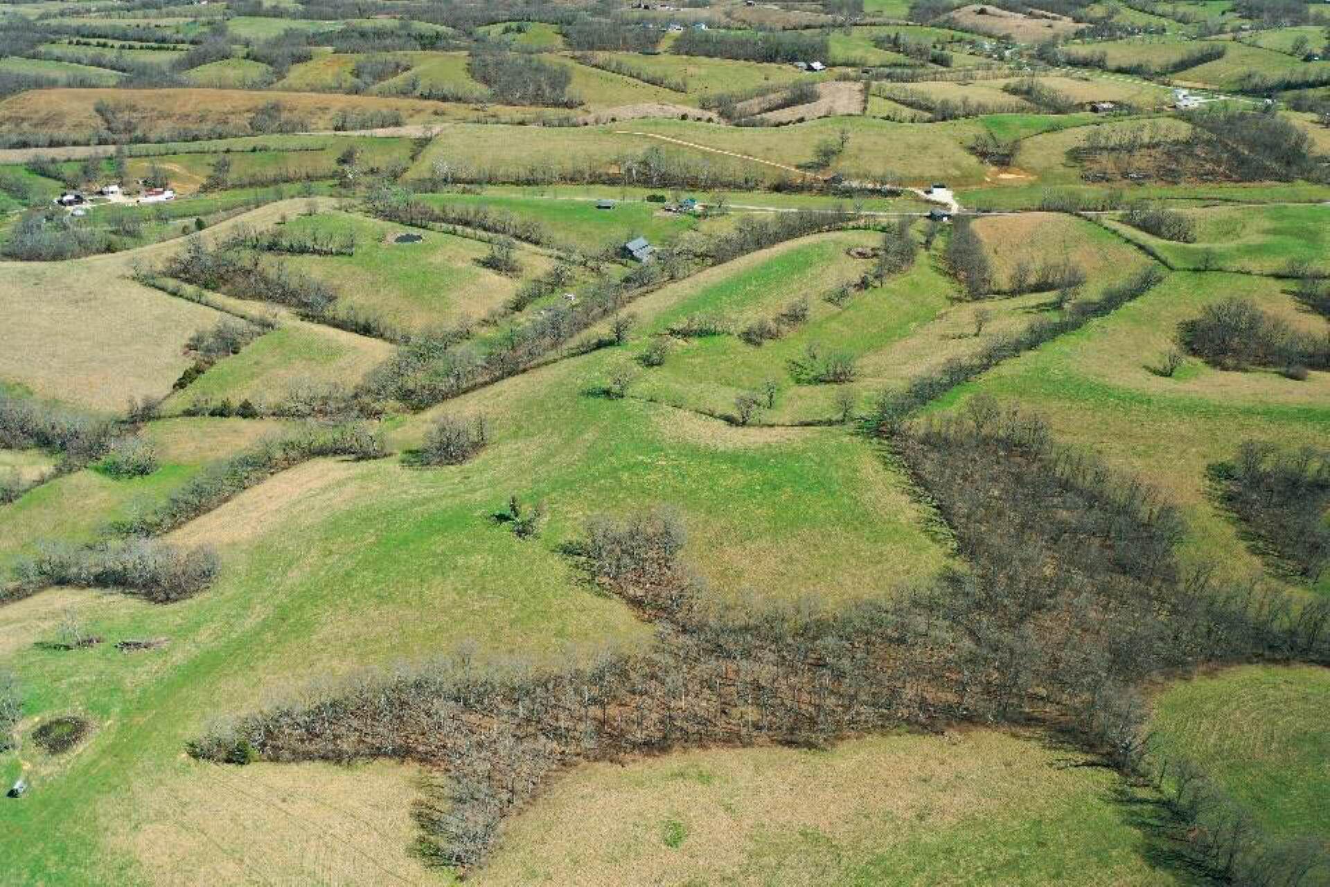 1300 Lower Concord Road Carlisle, KY 40311 - Photo 8 of 41 Drone