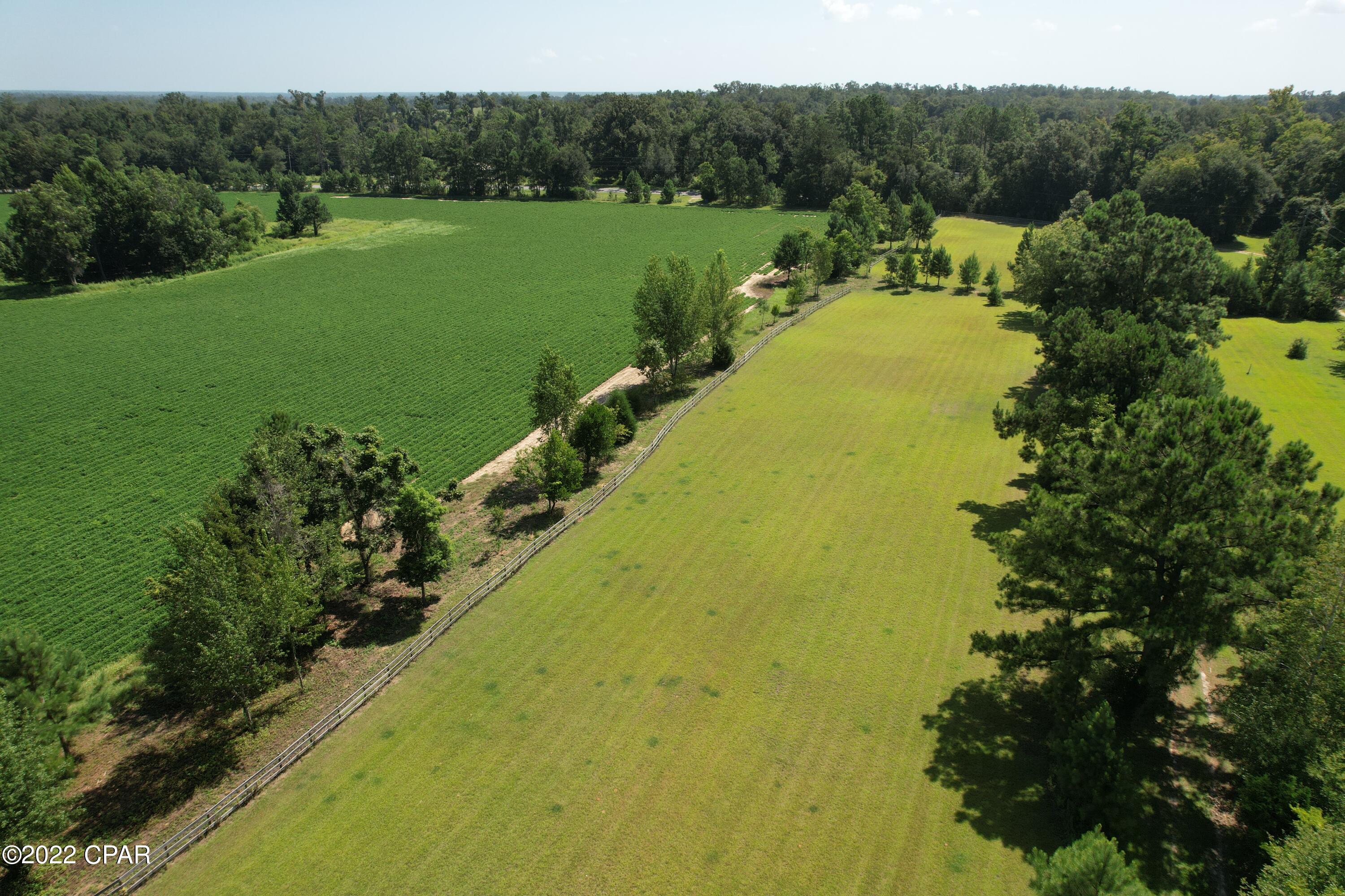 2399 El Bethel Church Road Grand Ridge, FL 32442 - Photo 34 of 60 Gallery Image 34