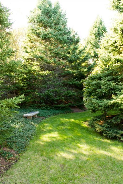 24 Southern Avenue St. George, ME 04859 - Photo 18 of 21 Garden area