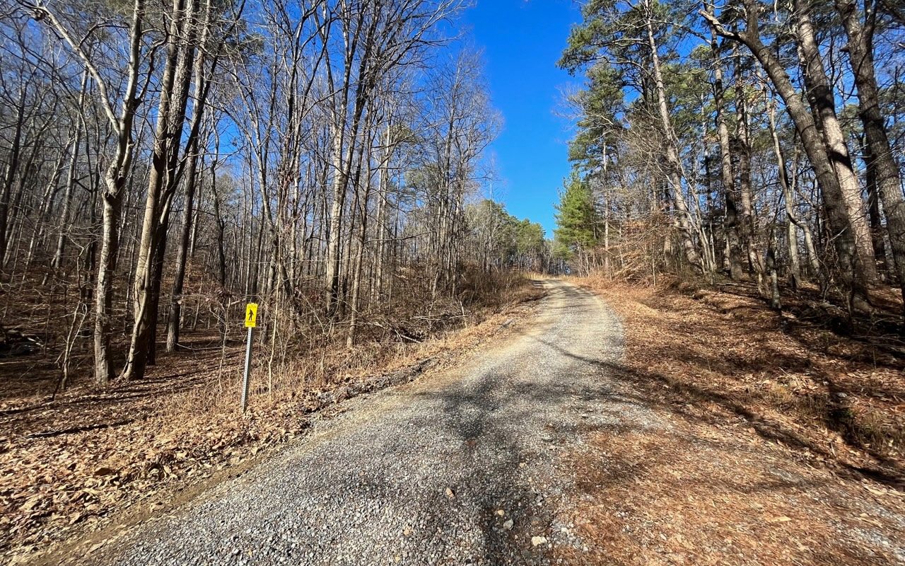 68.5 Hickory Grove Road Ringgold, GA 30736 - Photo 13 of 14 Additional View