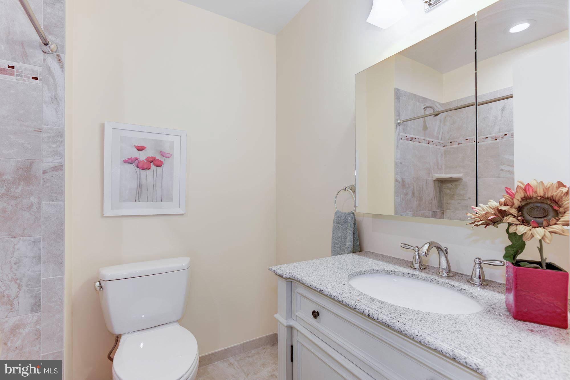 11607 Golf Course Square Reston, VA 20191 - Photo 16 of 30 Bath (Master)