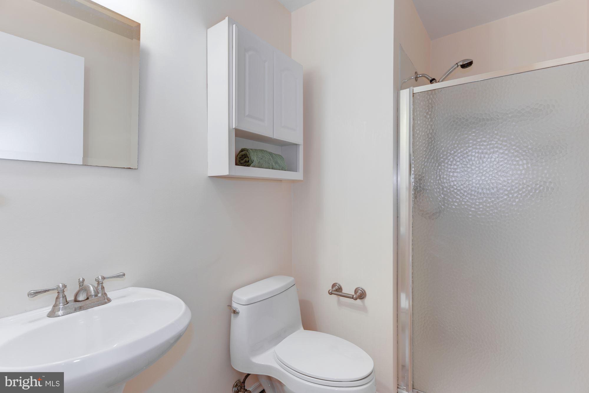 11607 Golf Course Square Reston, VA 20191 - Photo 23 of 30 Basement Bath