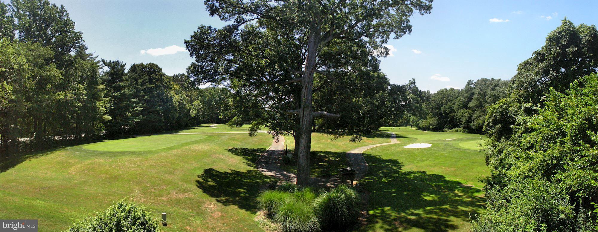 11607 Golf Course Square Reston, VA 20191 - Photo 29 of 30 View of Green #3 and Tee #4