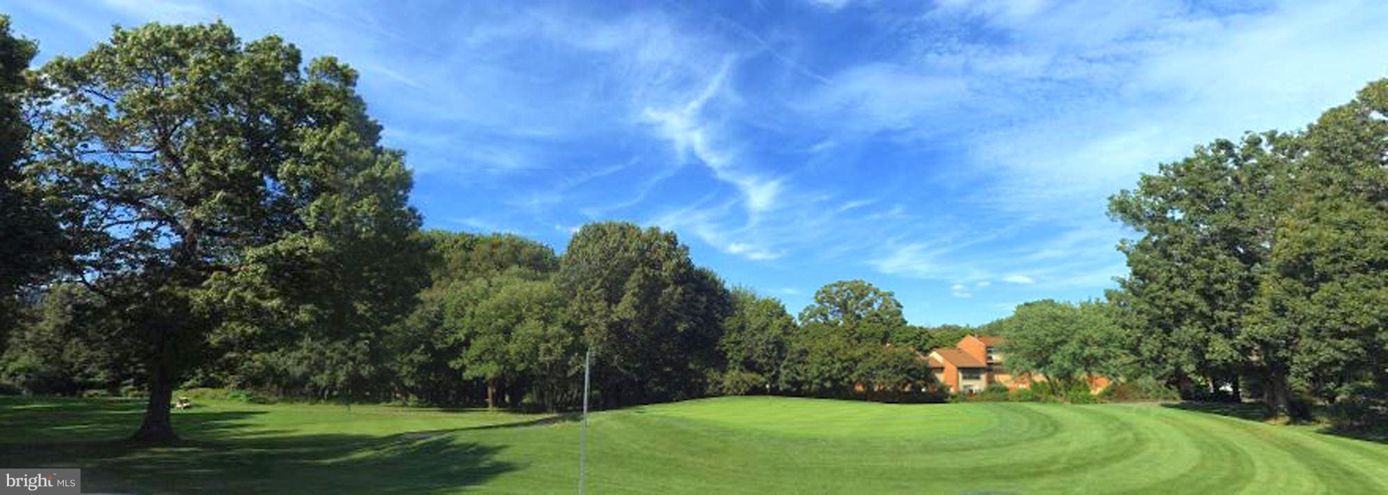 11607 Golf Course Square Reston, VA 20191 - Photo 30 of 30 View from Front too! 11th Green across the street.