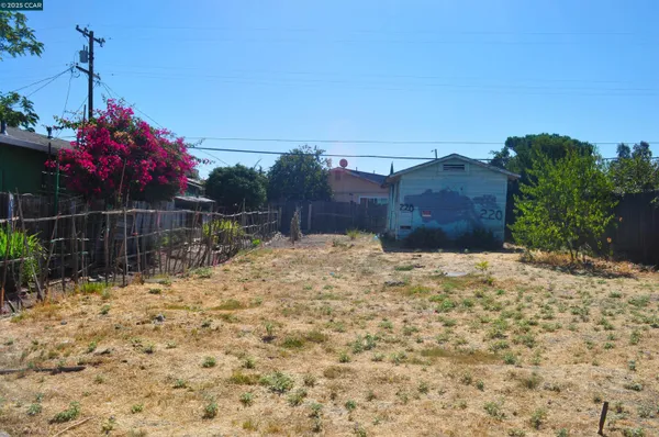 a view of a yard