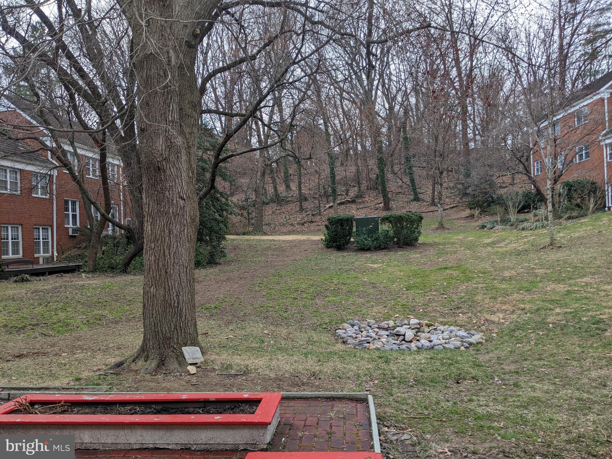 3652 Gunston Road Alexandria, VA 22302 - Photo 3 of 3 view from patio