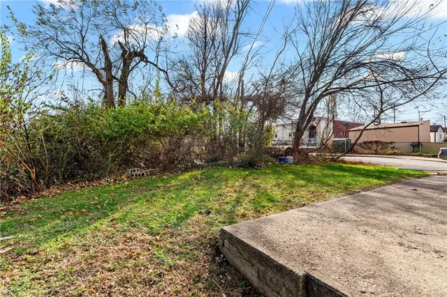 a view of backyard with green space