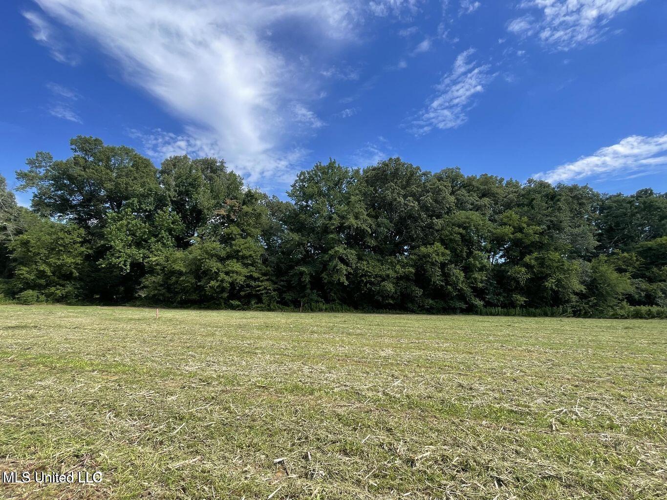 5 Renfroe Road Canton, MS 39046 - Photo 11 of 11 20241210212546438016000000-o