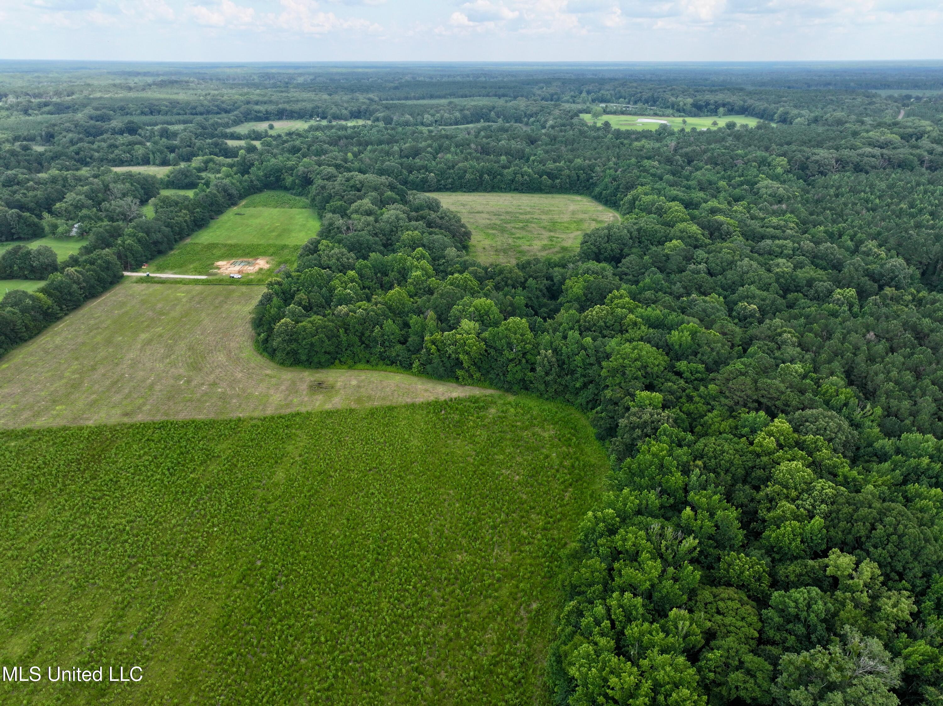 5 Renfroe Road Canton, MS 39046 - Photo 3 of 11 dji_fly_20250624_144216_0009_17507968708