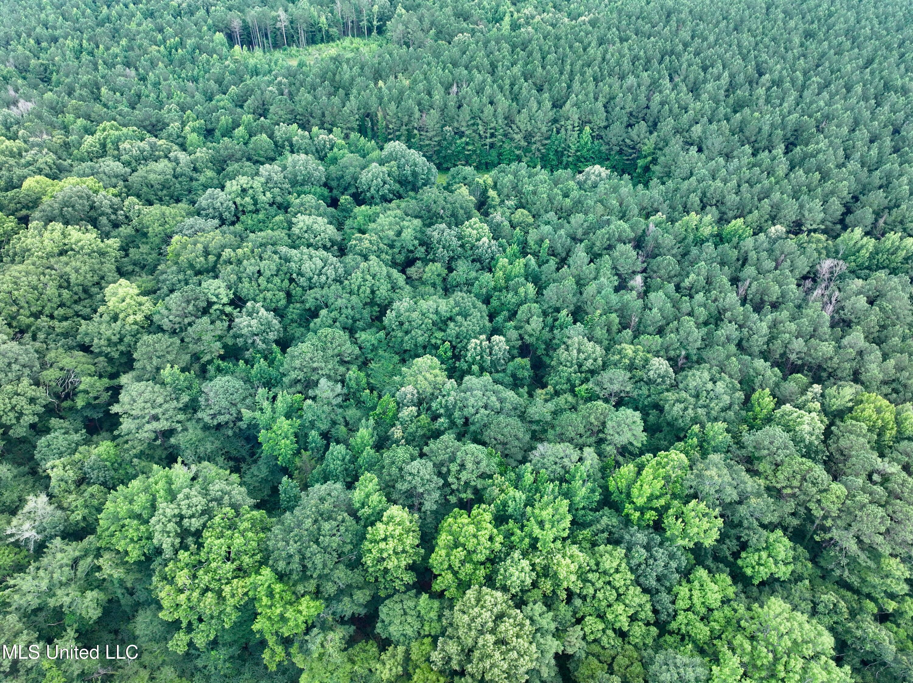 5 Renfroe Road Canton, MS 39046 - Photo 5 of 11 dji_fly_20250624_144056_0006_17507970031