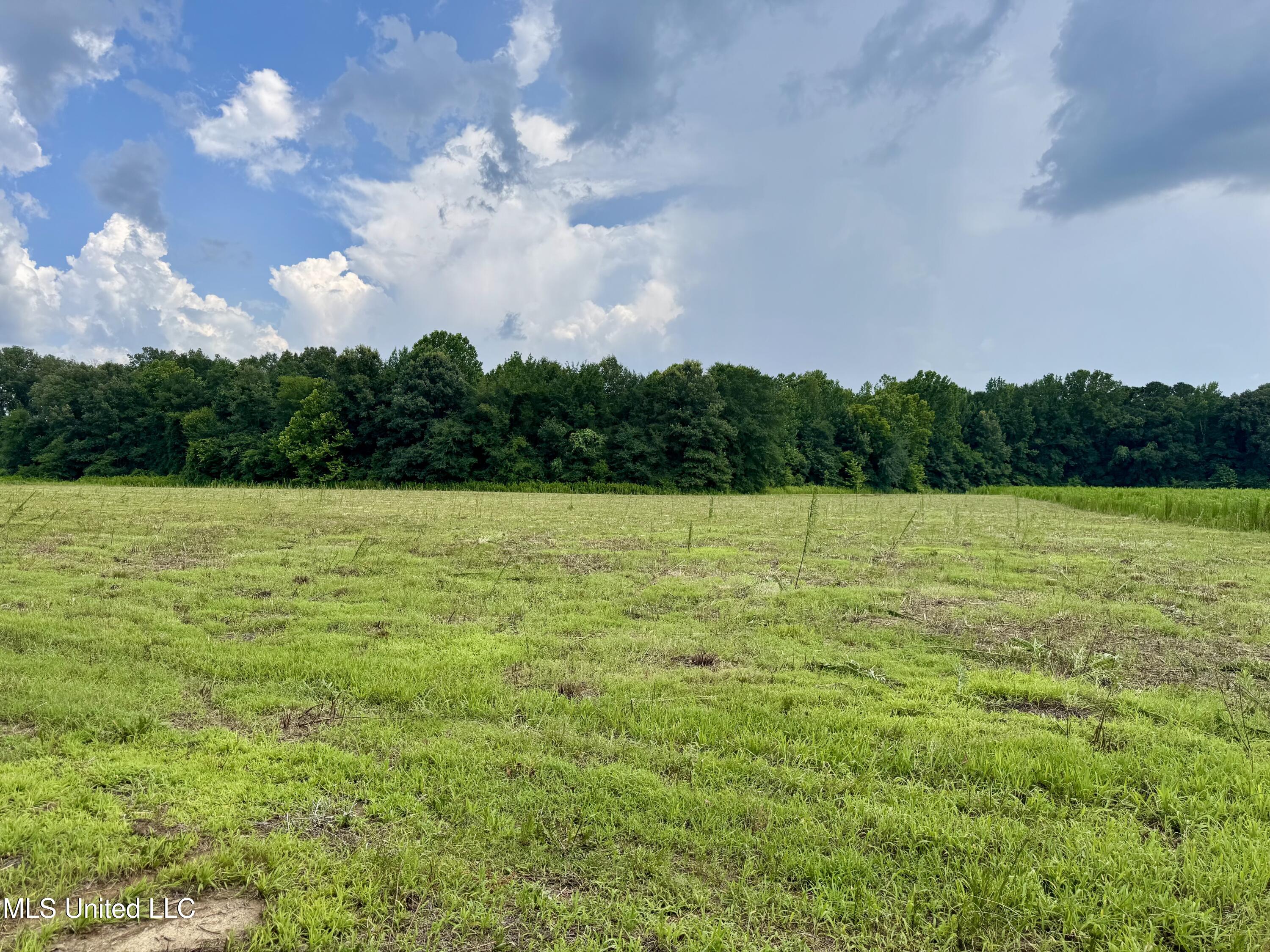 5 Renfroe Road Canton, MS 39046 - Photo 9 of 11 IMG_9990 (1)