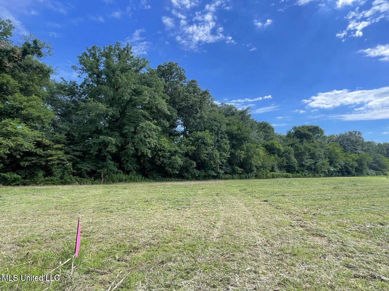 5 Renfroe Road Canton, MS 39046 - Photo 10 of 11 20241210212540541869000000-o
