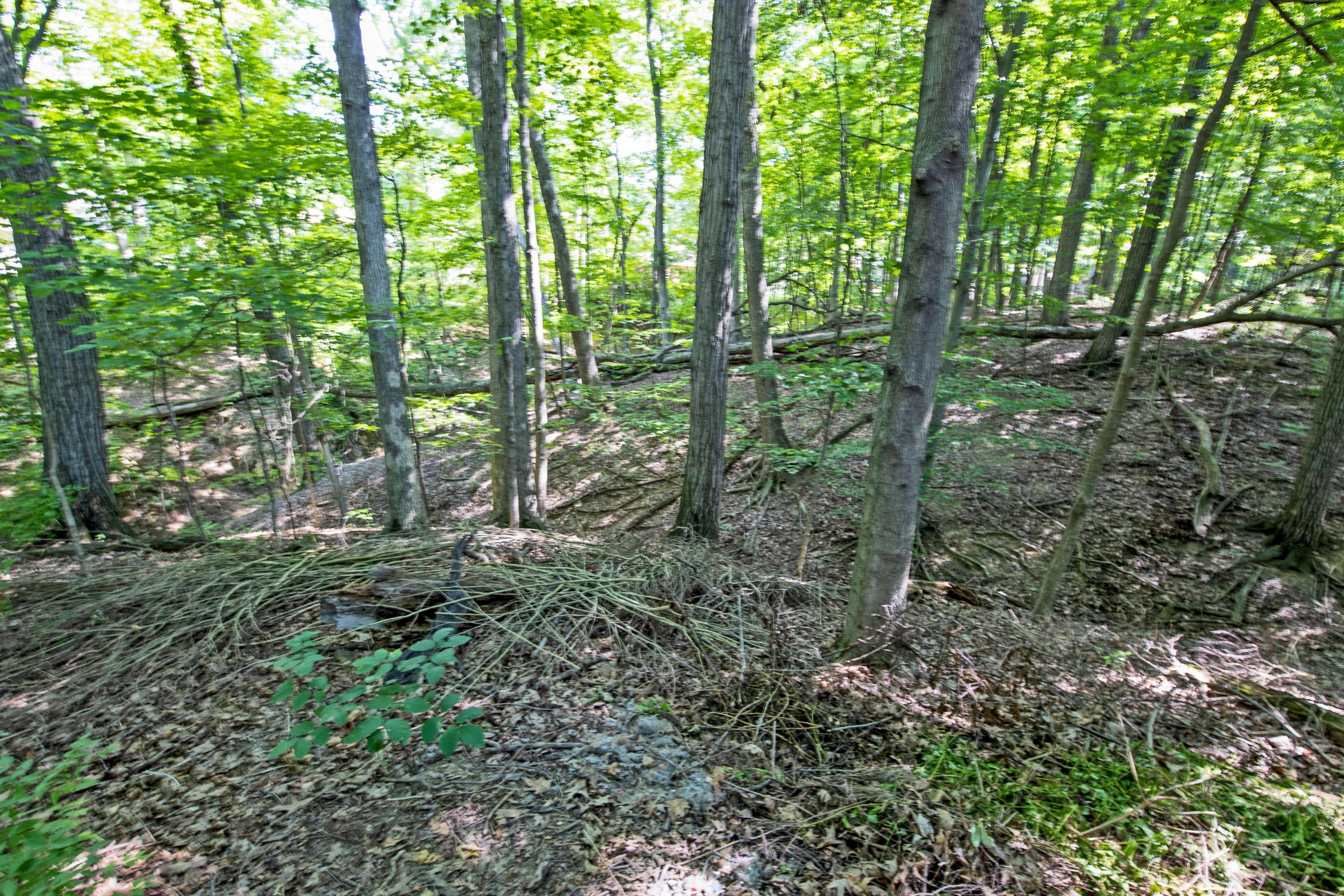 5108 Longrifle Road Westerville, OH 43081 - Photo 53 of 53
