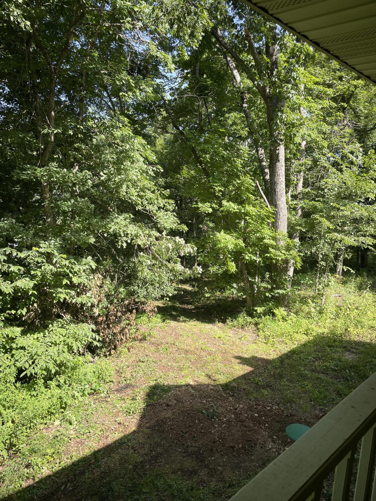 16569 Co Road, Unit 14533 Seymour, MO 65746 - Photo 59 of 60 IMG_7364