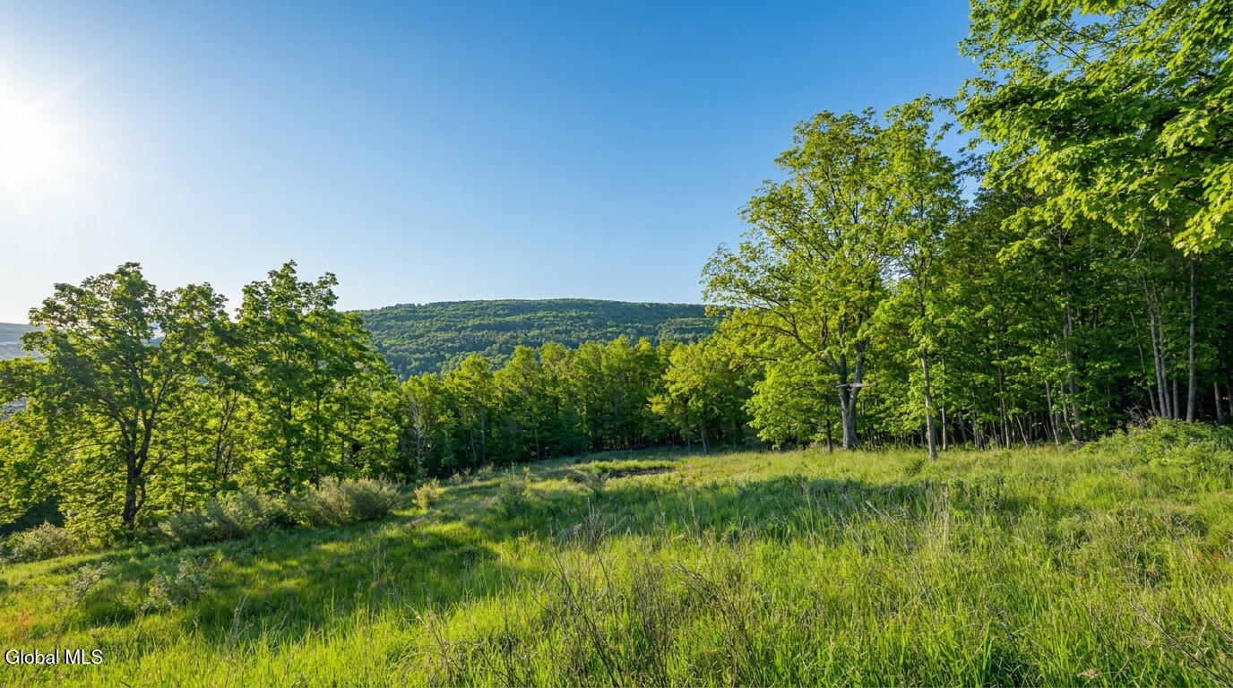 L10.10 Cheese Hill Road Preston Hollow, NY 12469 - Photo 24 of 56 10.10-Cheese-Hill-Rd-Rensselaerville-ext