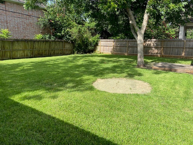 5213 Linden Street Bellaire, TX 77401 - Photo 9 of 18 a view of a backyard with a small cabin