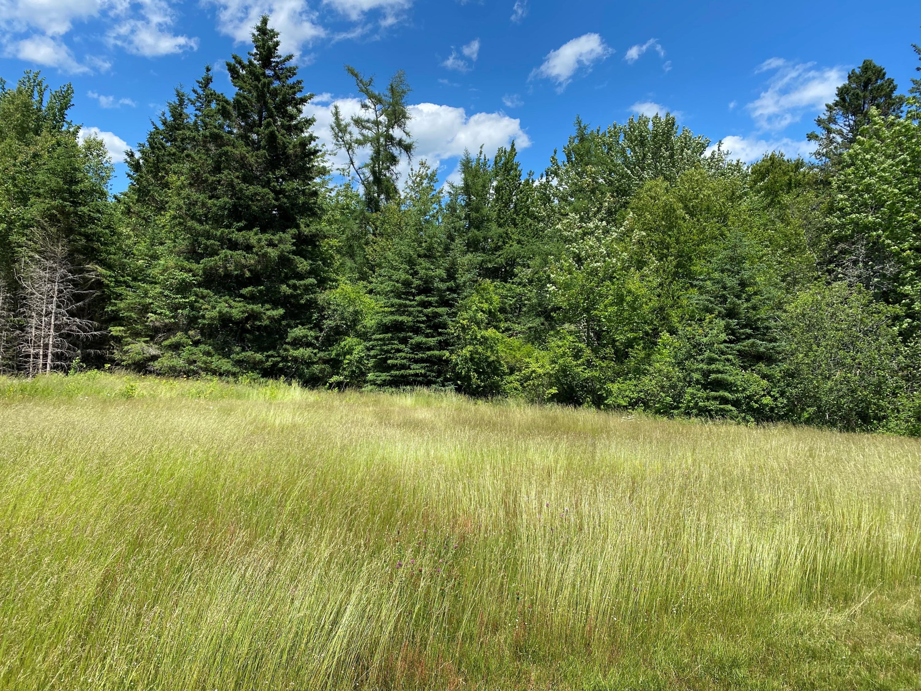 608 South Gouldsboro Road Gouldsboro, ME 04607 - Photo 5 of 7 6804