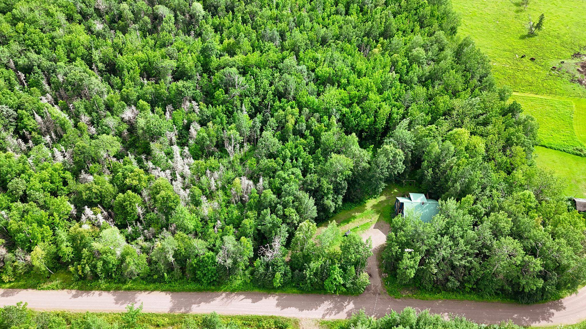 1690 Aho Road Duluth, MN 55804 - Photo 36 of 39 Drone / aerial view