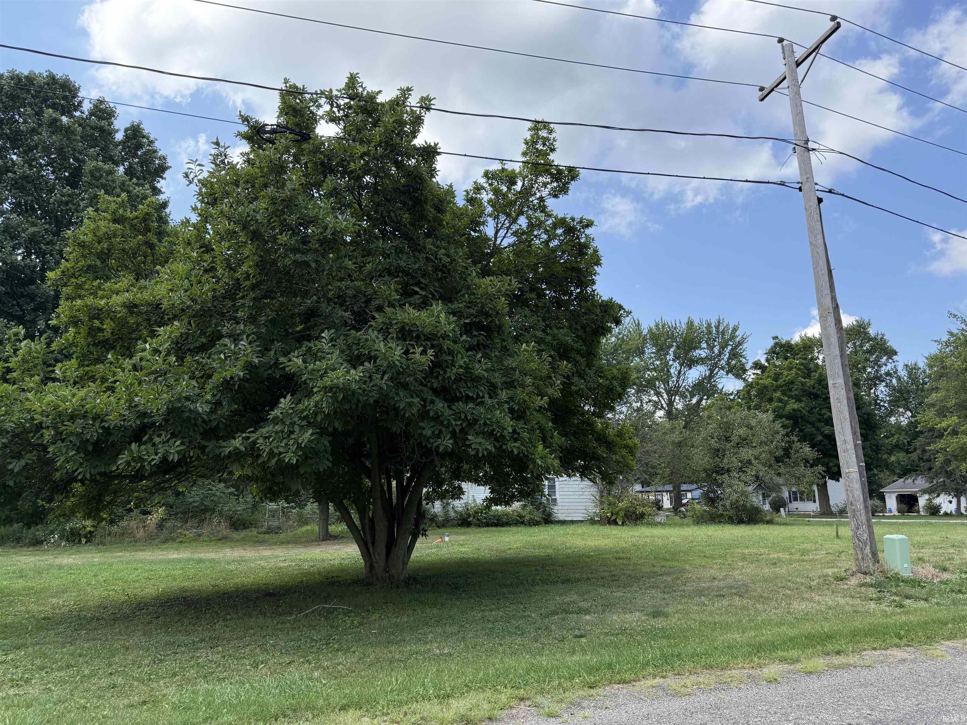 311 George Street Galien, MI 49113 - Photo 6 of 9