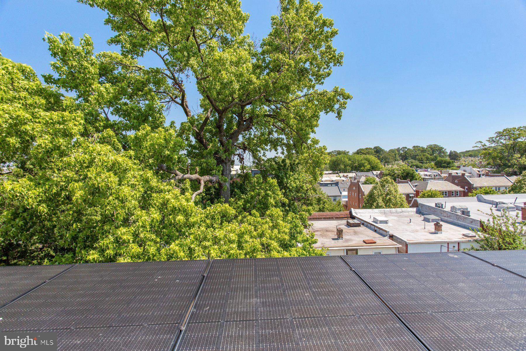 1242 Meigs Place Northeast, Unit 4 Washington, DC 20002 - Photo 24 of 28