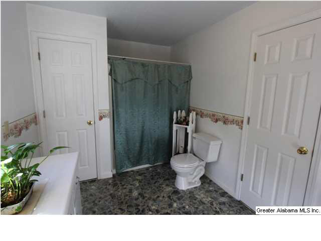1019 County Road 233 Fruithurst, AL 36262 - Photo 27 of 32
