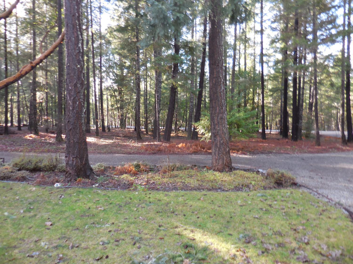 7281 Rockydale Road Cave Junction, OR 97523 - Photo 8 of 33 Gallery Image 8