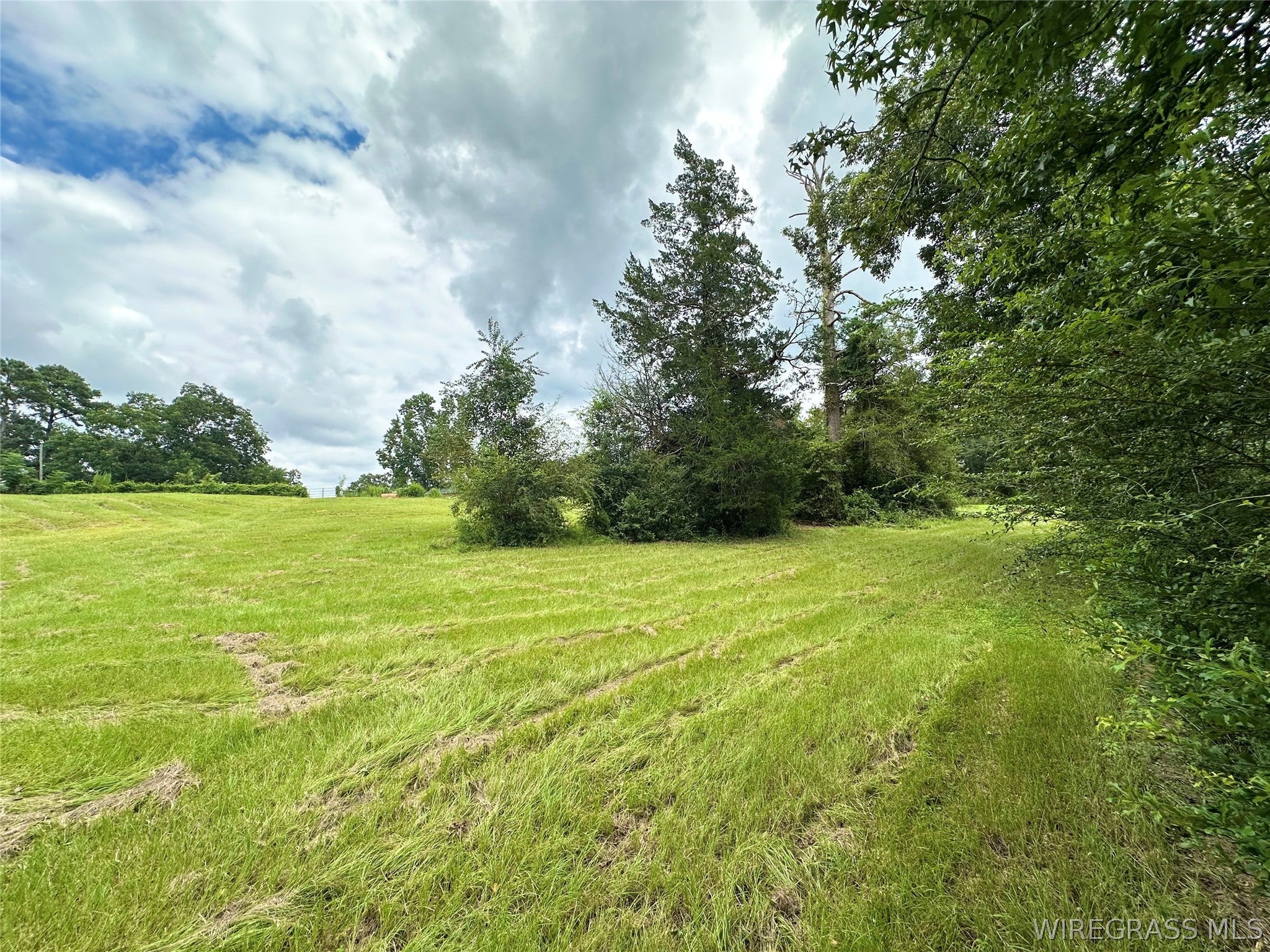 97 Rodeo Road Ariton, AL 36311 - Photo 52 of 60 Gallery Image 52