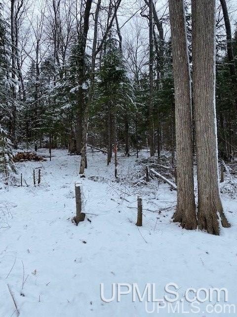 Tbd Tbd Northwoods Road Marquette, MI 49855 - Photo 20 of 31