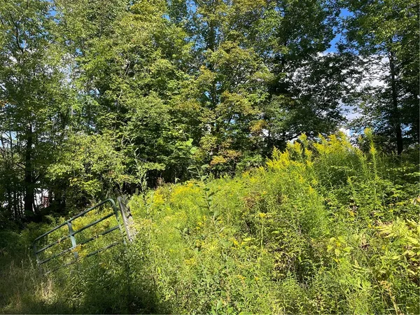 $199,000 | 19.221 Turnpike Road, Meredith, NY 13753