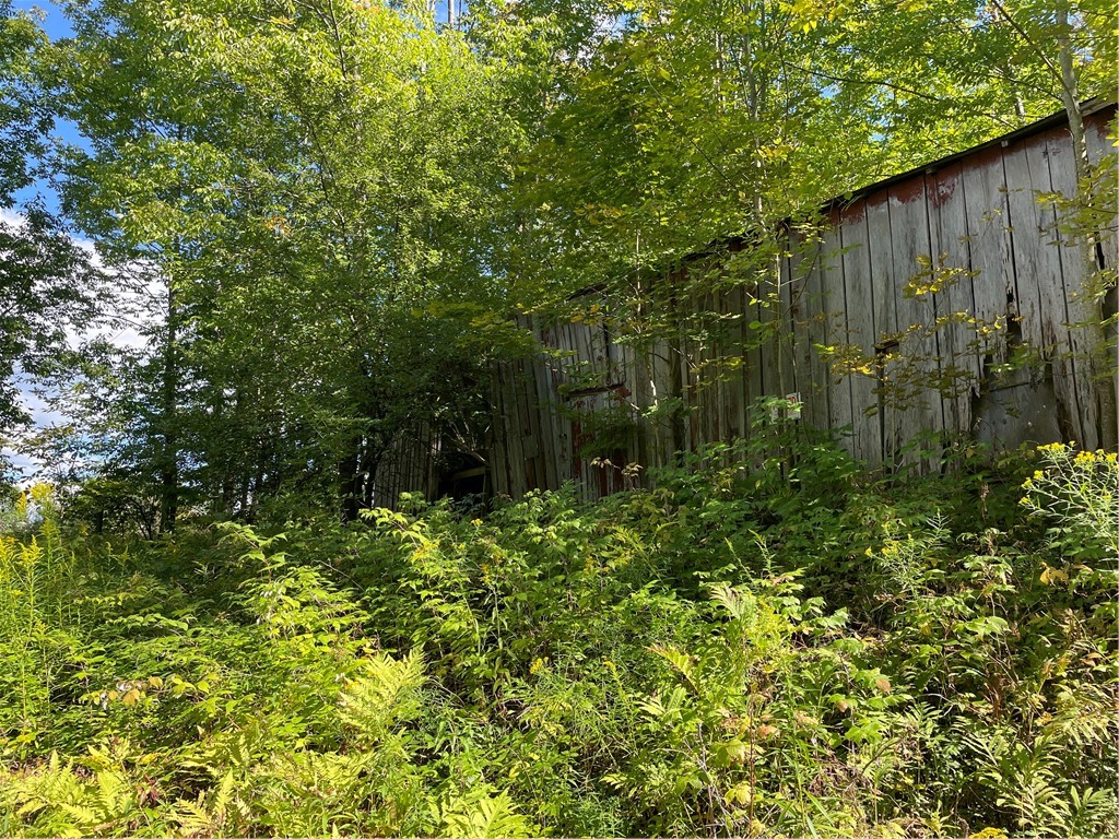 19.221 Turnpike Road Meredith, NY 13753 - Photo 2 of 10