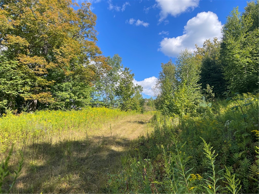 19.221 Turnpike Road Meredith, NY 13753 - Photo 3 of 10